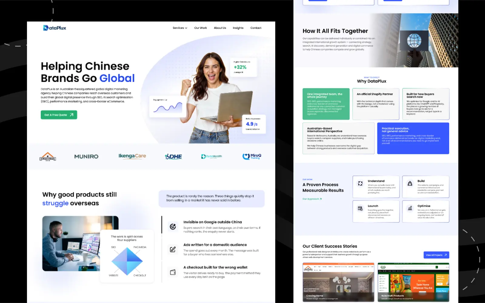 DataPlux home page: the overseas visibility problem named before any service is sold